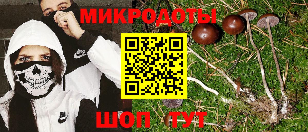 Галлюциногенные грибы Magic Shrooms  Галлюциногенные грибы Psilocybe  наркотики  Грязи  Вход с VPN 